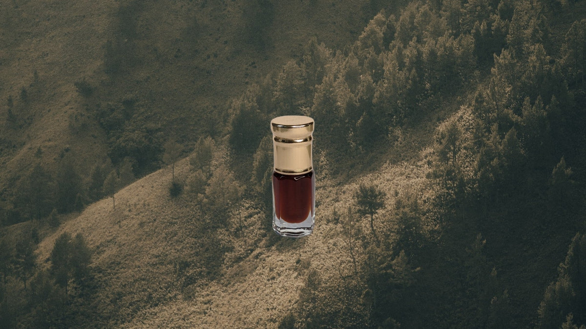 Mentawai- Pure Wild Oud Oil from Siberut Island -