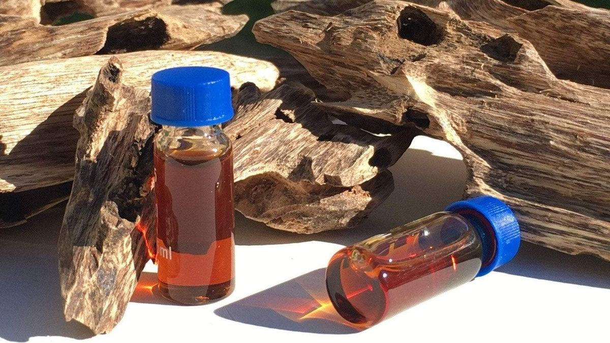 The Barntoxicate 100% Pure Oud Essential Oil -Hydro distillation -