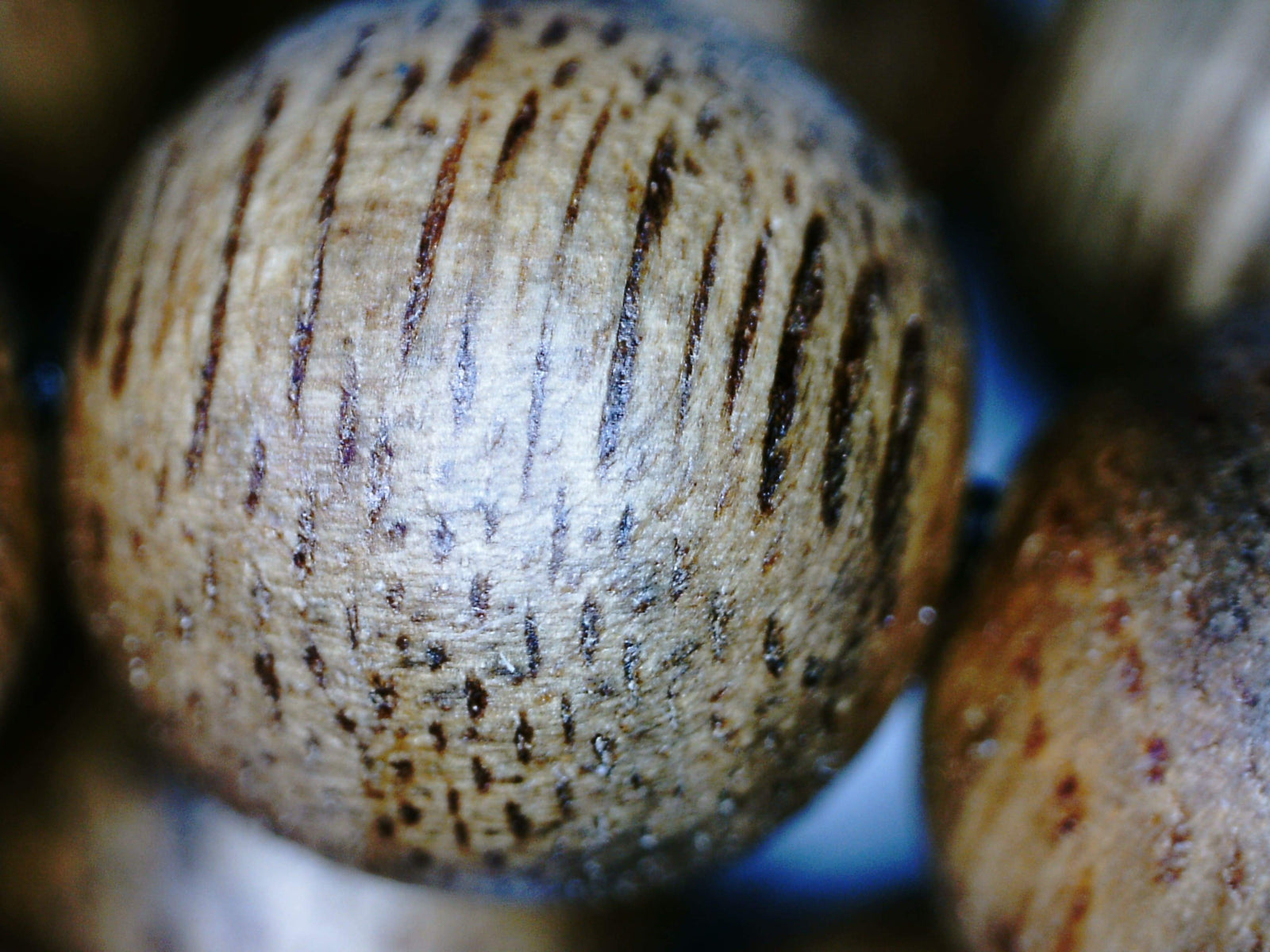 *New* The Classic Kalimantan 108 mala Wild Agarwood beads 8mm 20g -