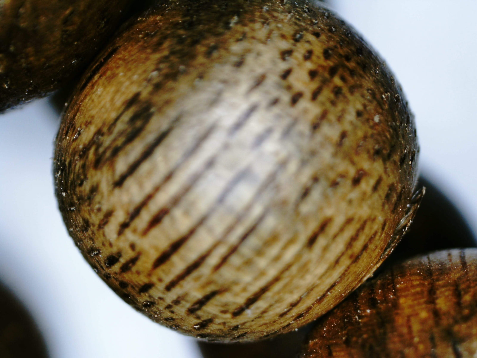 *New* The Classic Kalimantan 108 mala Wild Agarwood beads 8mm 20g -