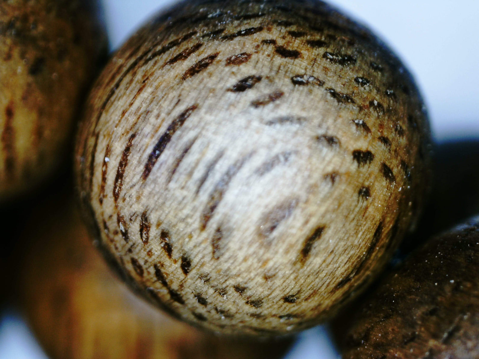 *New* The Classic Kalimantan 108 mala Wild Agarwood beads 8mm 20g -