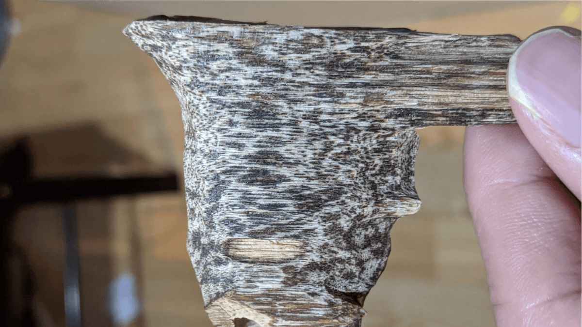 *New* The Emptiness - Cultivated Resinious Agarwood chips -