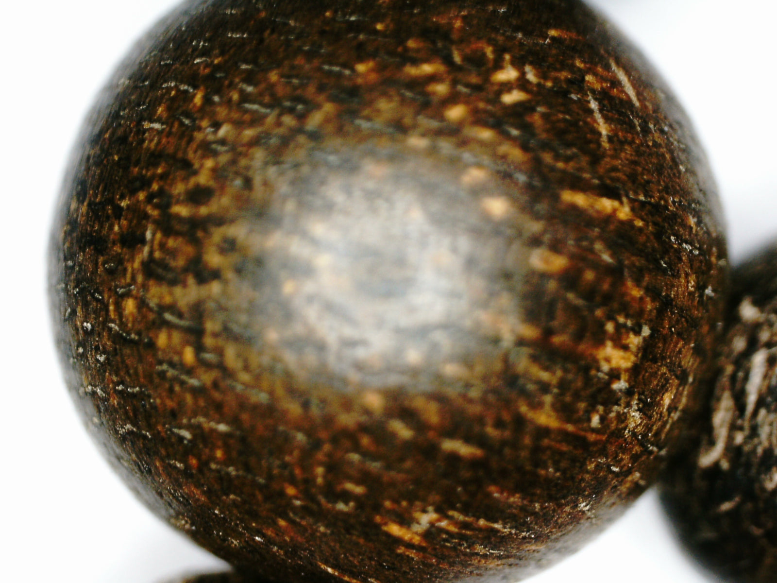 Sold- The Ethereal Wild Agarwood 108 mala from Berau East Borneo 6mm 13g -