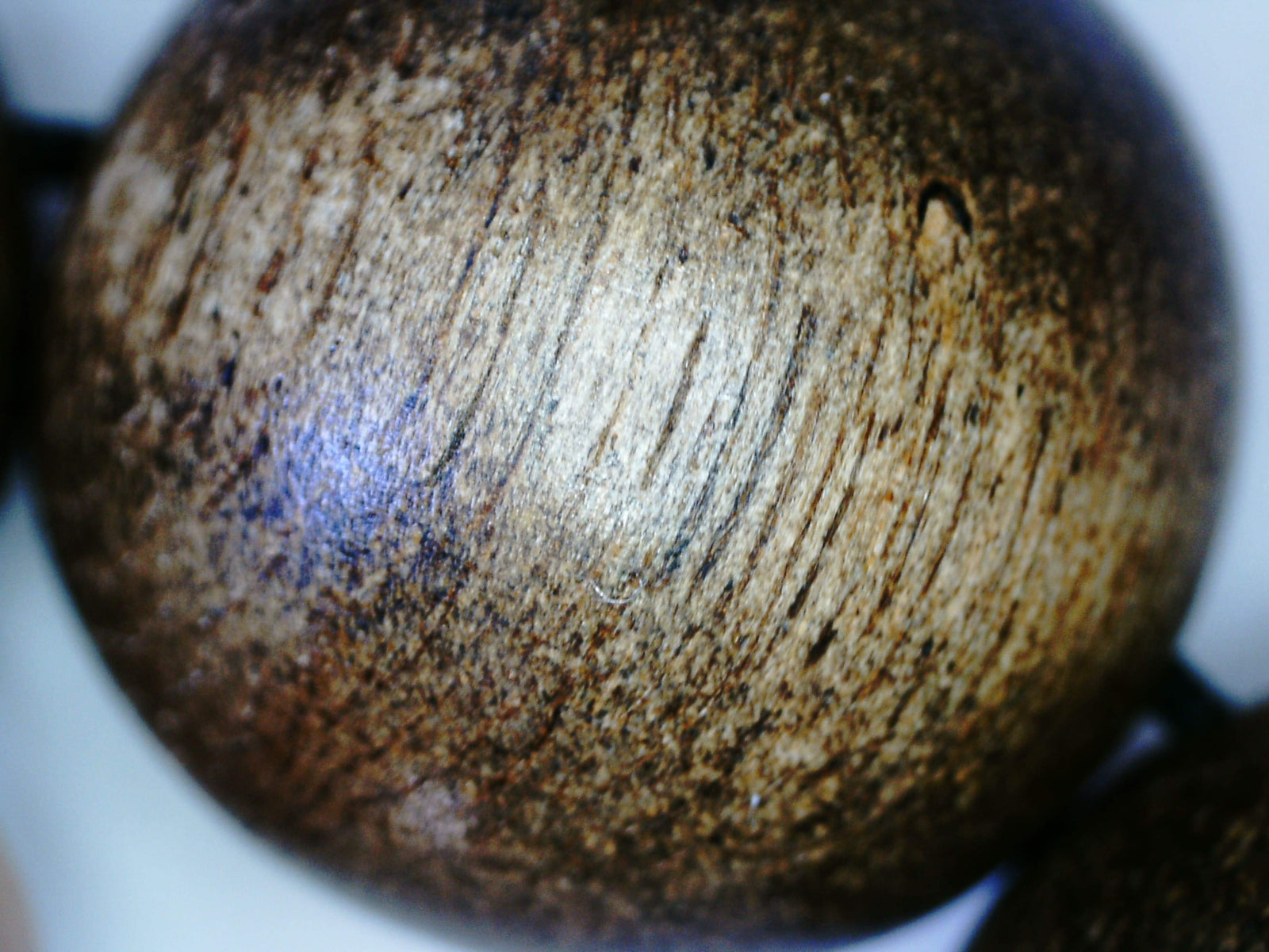 The Little Borneo Wild Agarwood Bracelet 19g,14 beads 16mm -