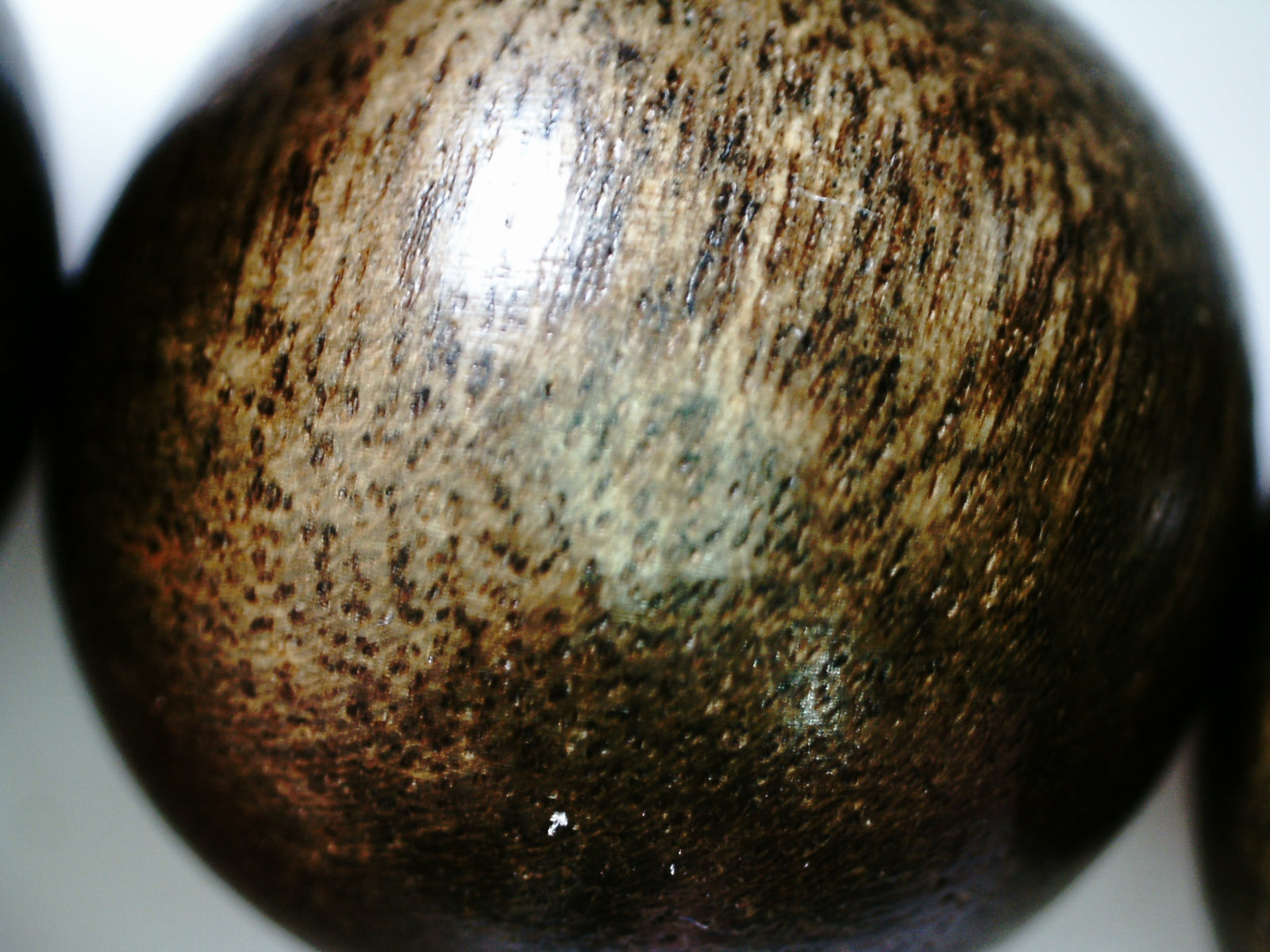 The One- Wild Vietnamese Agarwood Bracelet -