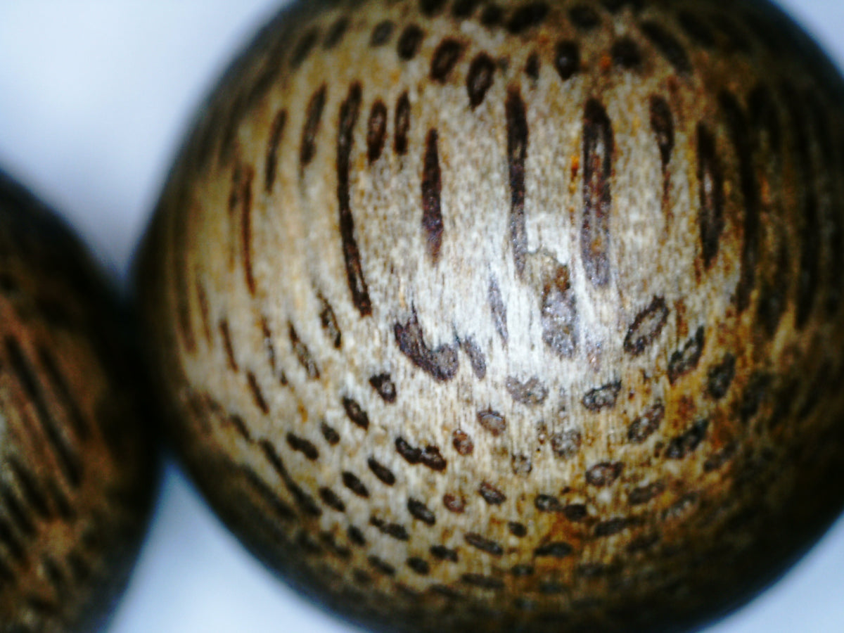 The One- Wild Vietnamese Agarwood Bracelet -