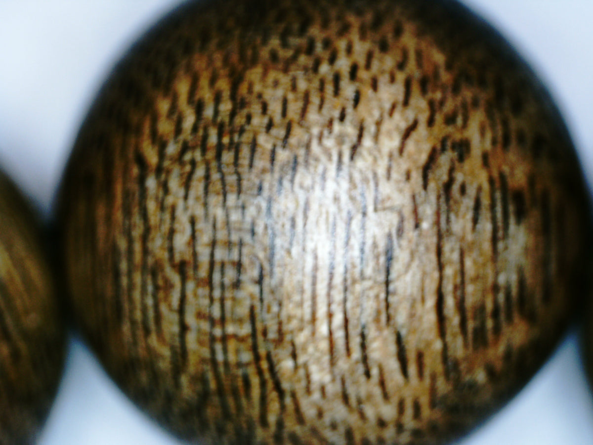 The One- Wild Vietnamese Agarwood Bracelet -