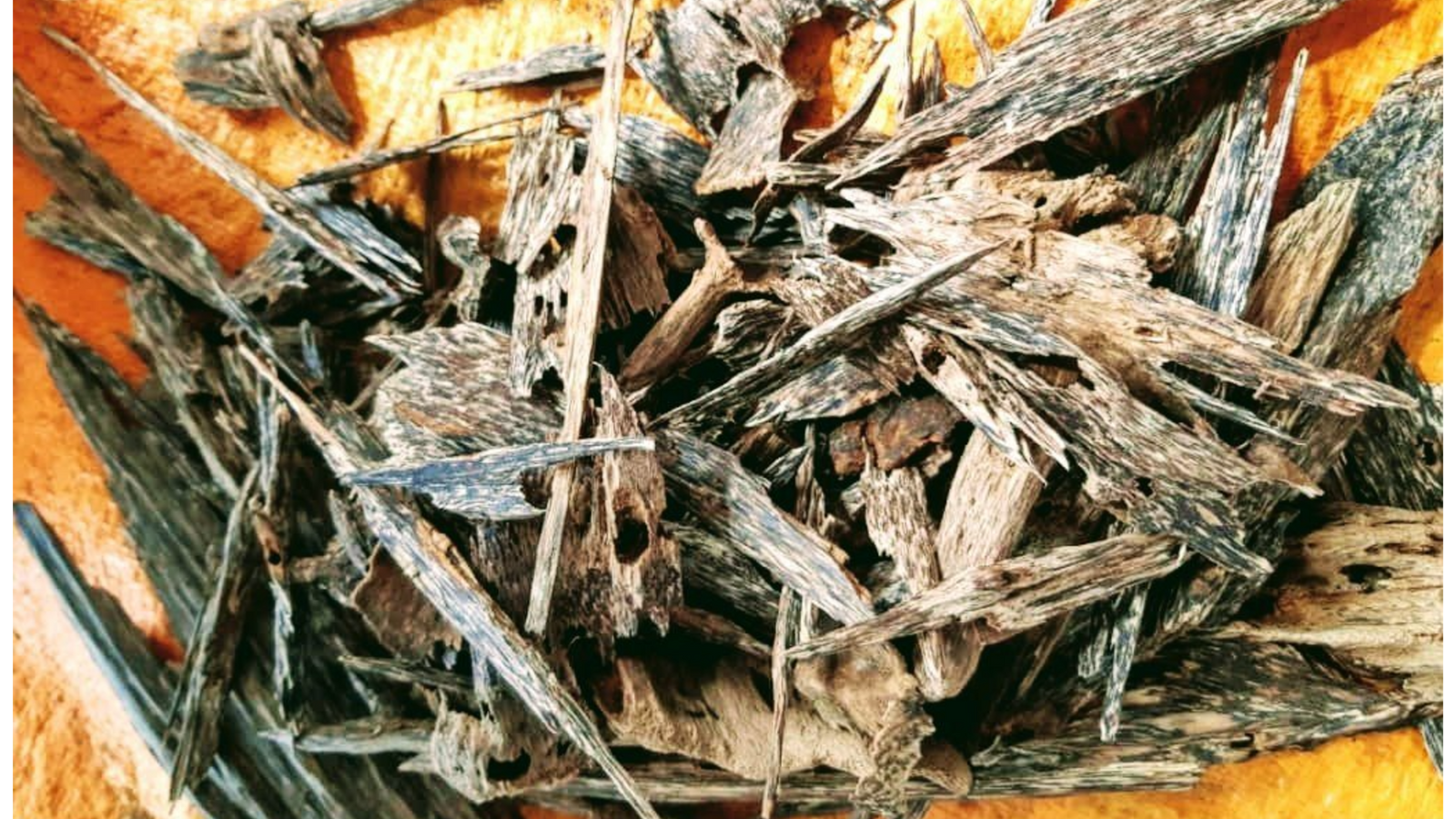 *New* The Madness, Artisan Oud Oil distilled from Bruneian incense-grade wild agarwood chip -