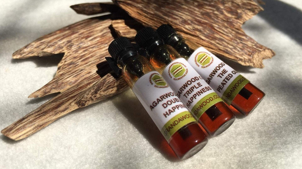 Agarwood (oud) Supercritical CO2 extract Sample Set - 0.5 ml x 3 -