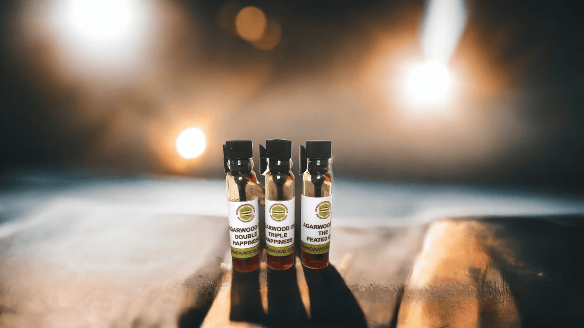 Agarwood (oud) Supercritical CO2 extract Sample Set - 0.5 ml x 3 -