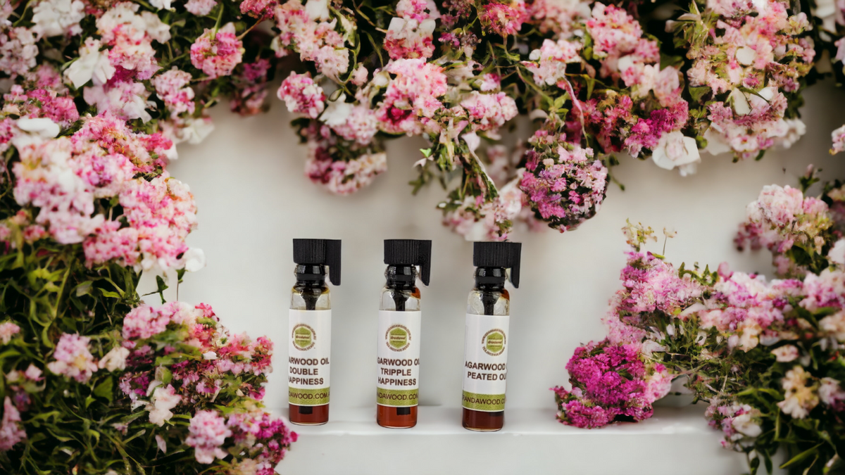 Agarwood (oud) Supercritical CO2 extract Sample Set - 0.5 ml x 3 -