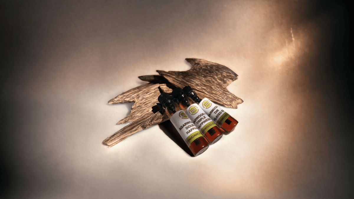 Agarwood (oud) Supercritical CO2 extract Sample Set - 0.5 ml x 3 -