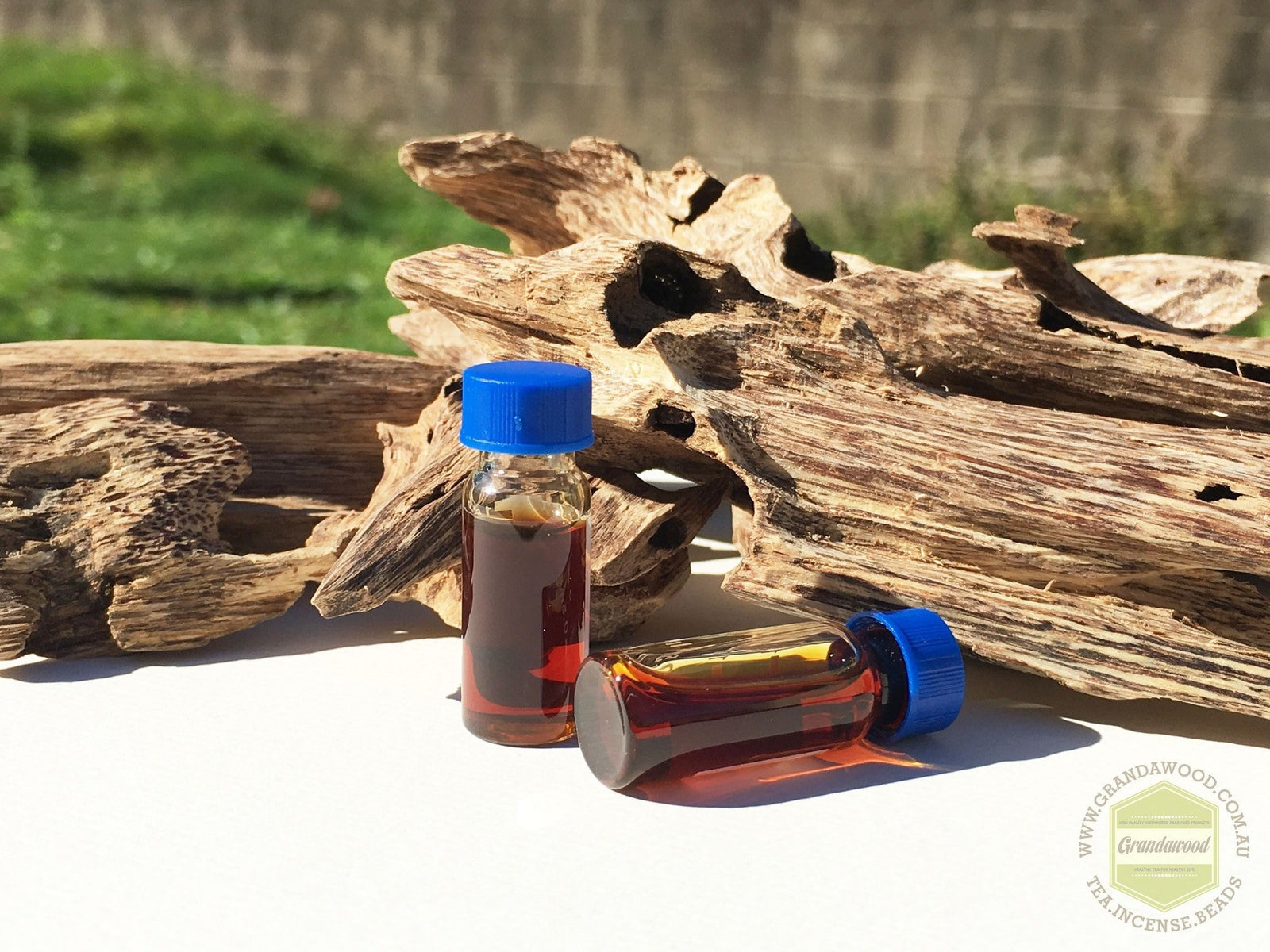 Scent of Enlightenment- The Mesmerizing Sweetness Liquid Gold - Wild Agarwood Oil steam distillation -