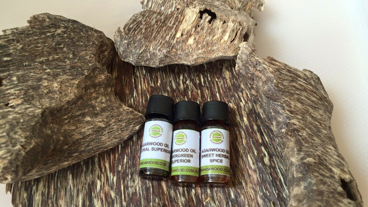 Specialty 100% Pure Cultivated Agarwood Oil (Oud)-Sweet Herbal Spice Essential Oil -