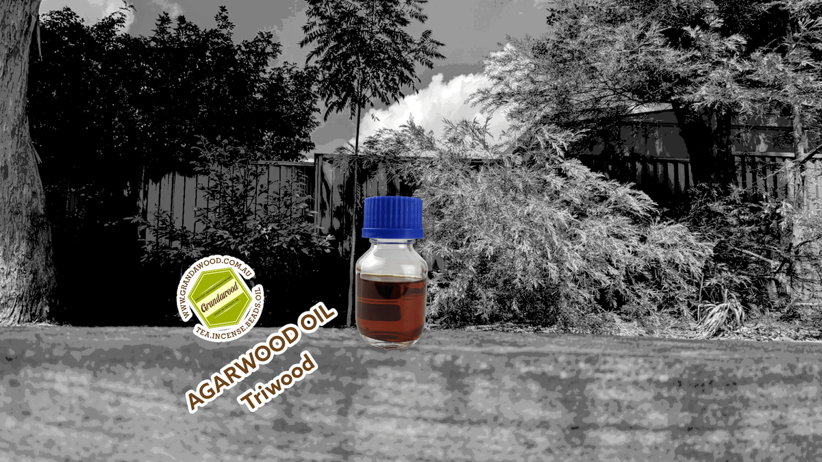 *New* Triwood - the Amazing Aroma of Three Different Agarwood Species in one bottle -