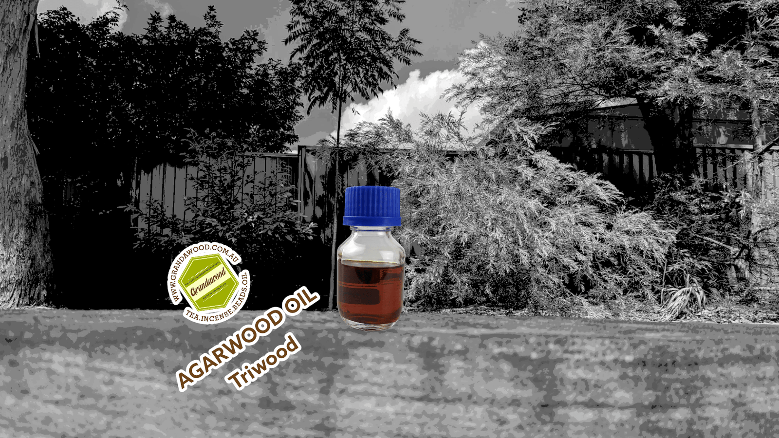 *New* Triwood - the Amazing Aroma of Three Different Agarwood Species in one bottle -