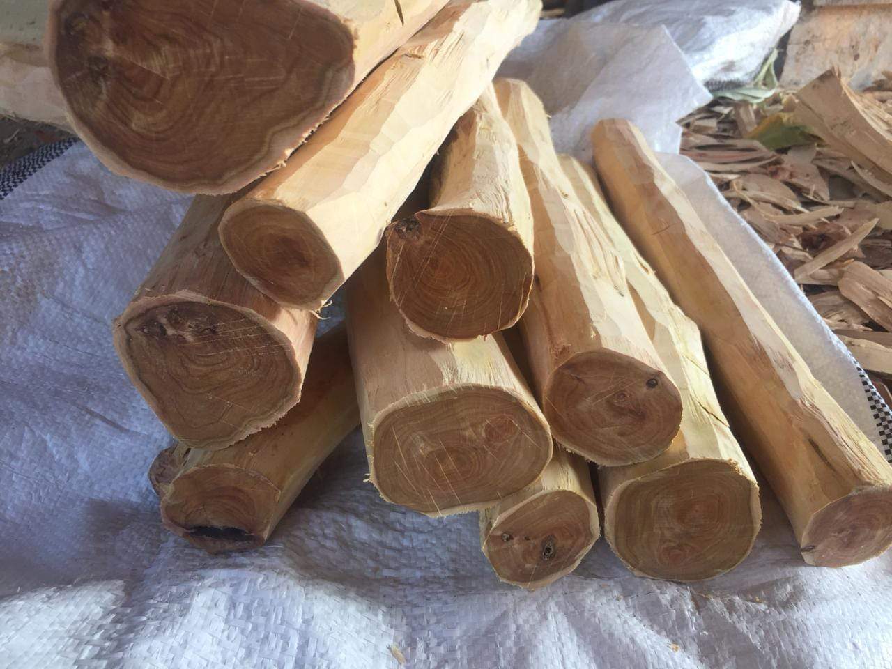 SCW-100% Pure Artisanal Distilled Super Creamy Woody Sandalwood Oil (Santalum Album) -