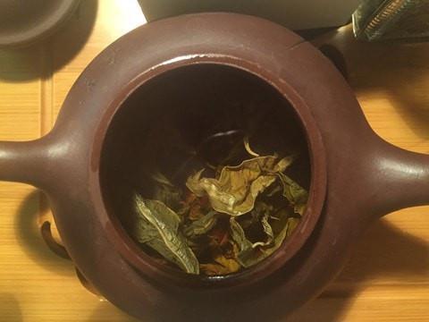 Handpicked Premium Young Aquilaria Leaves (Agarwood Tea) -