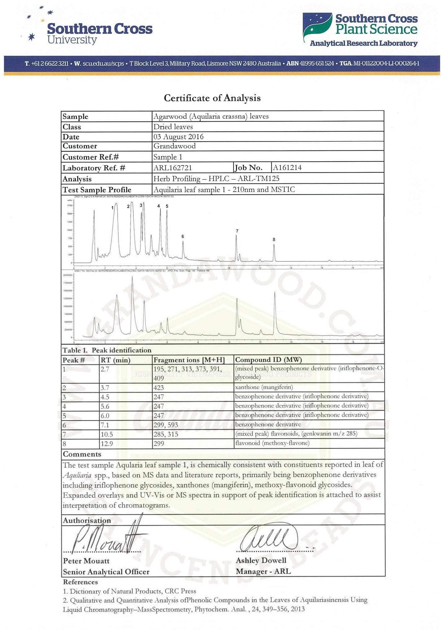 Handpicked Premium Young Aquilaria Leaves (Agarwood Tea) -