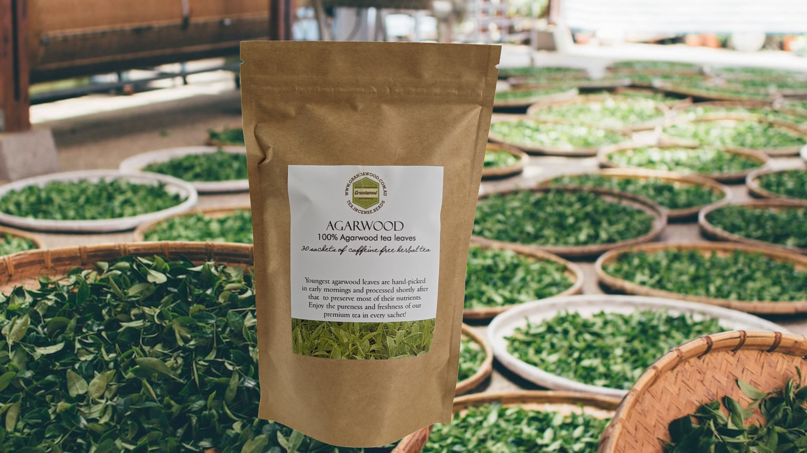 Agarwood tea 30 sachets of 0.5 g -