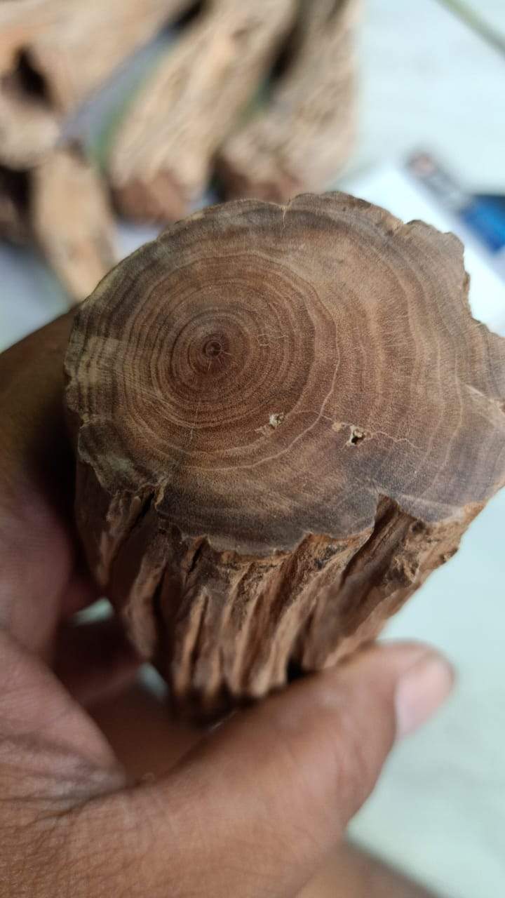 "The Beauty of the Death" Wild Aged Sandalwood beads -