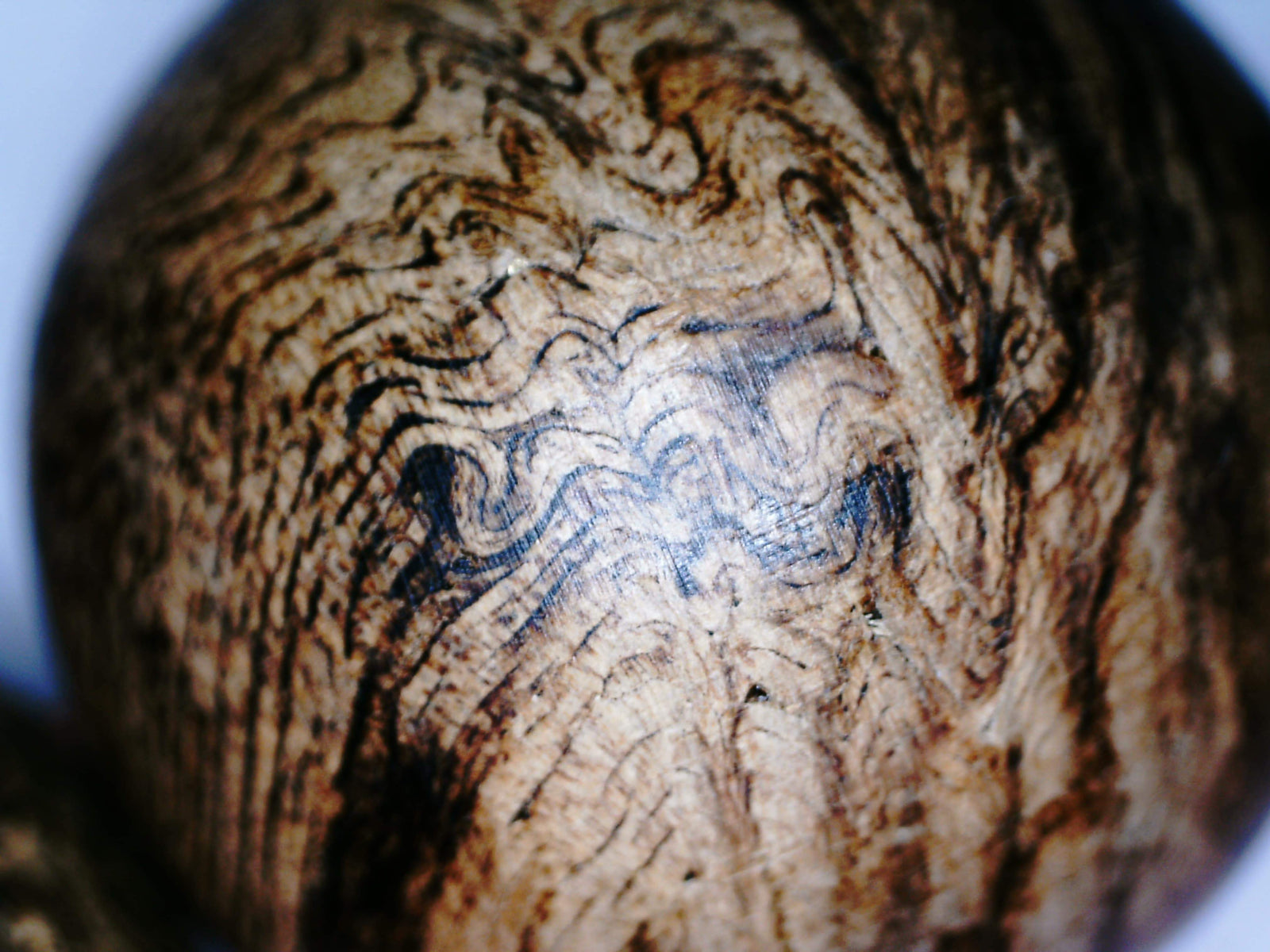 *New* The Timeless Scar - Wild Agarwood bracelet from Borneo, 18mm, 32.8g -