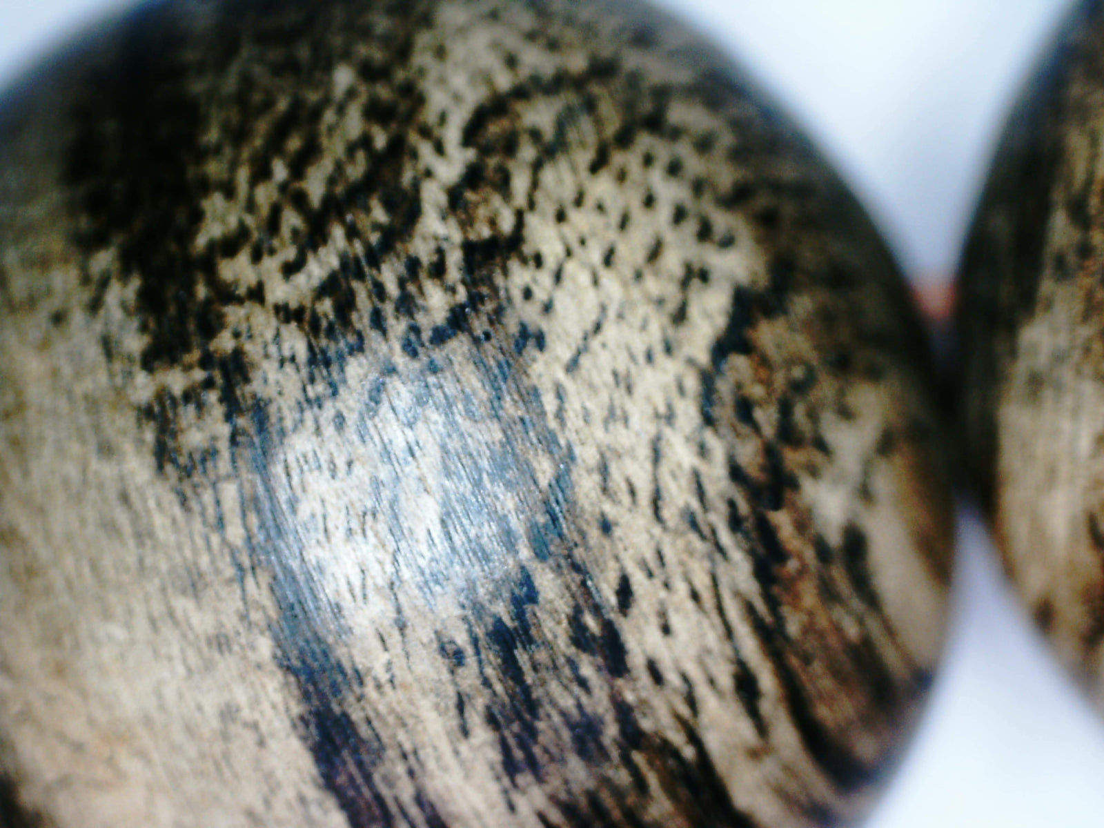 *New* The Timeless Scar - Wild Agarwood bracelet from Borneo, 18mm, 32.8g -