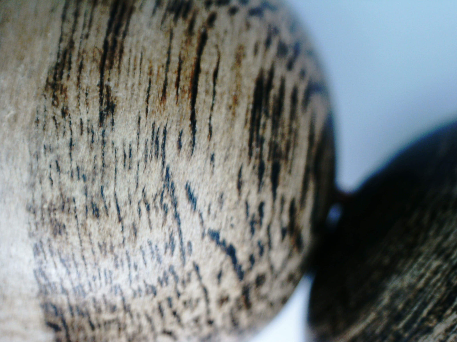 *New* The Timeless Scar - Wild Agarwood bracelet from Borneo, 18mm, 32.8g -