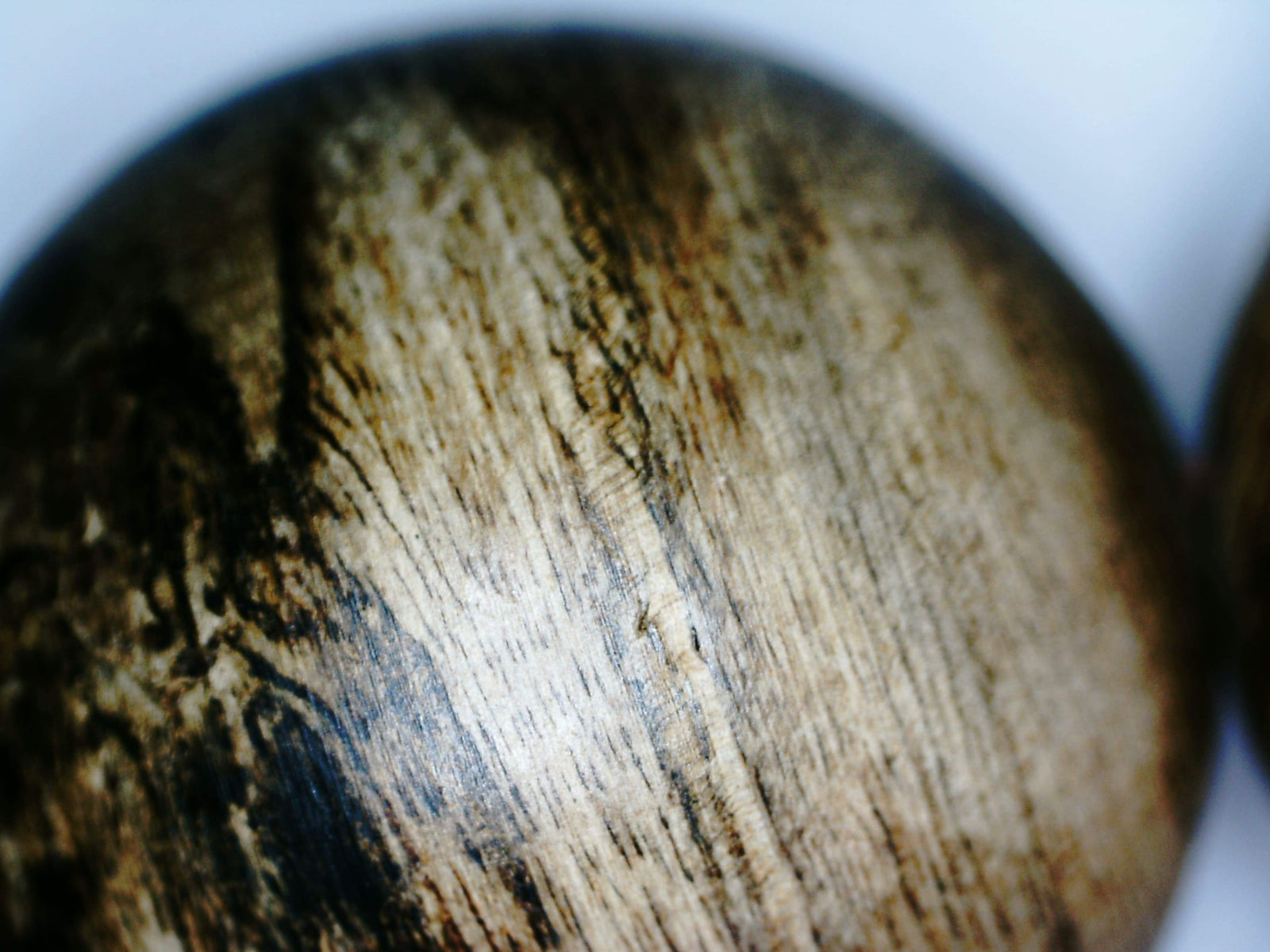 *New* The Timeless Scar - Wild Agarwood bracelet from Borneo, 18mm, 32.8g -