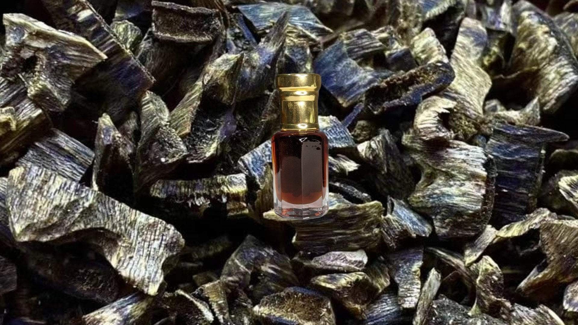Agarwood Oil (Oud or Oudh Oil) Grandawood Agarwood
