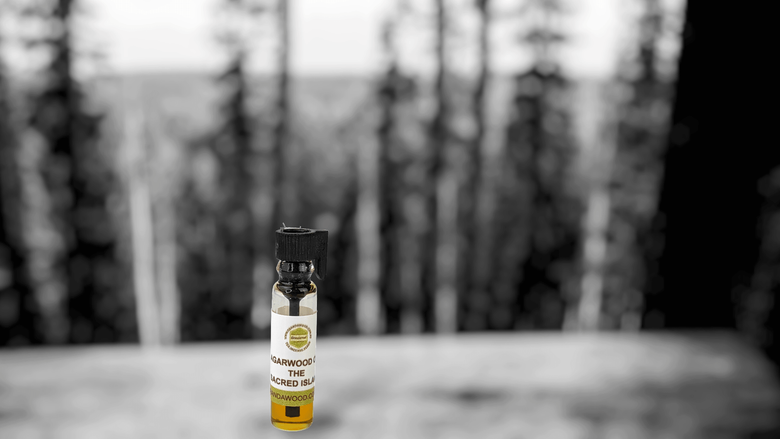 *New* The Sacred Forest Island 100% Pure Wild Oud Oil , distilled from Aquilaria Sinensis - 0.5ml