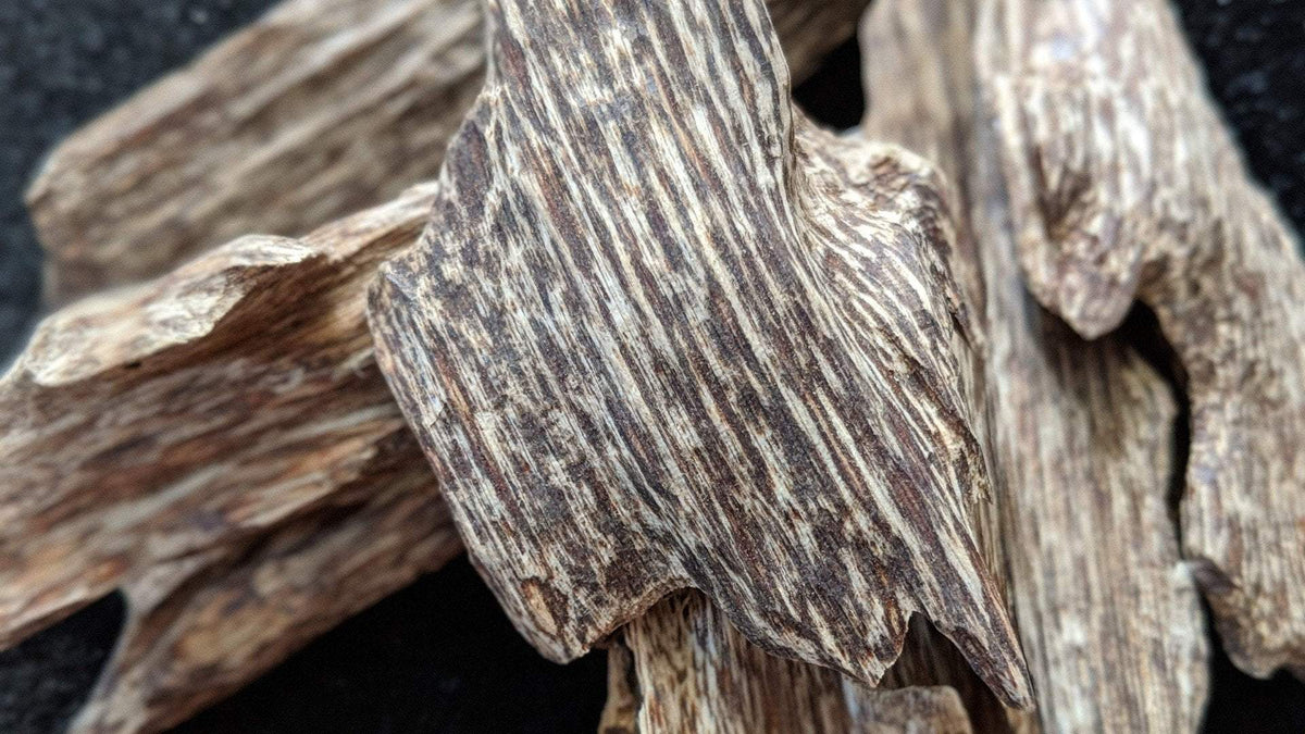 Wild Oud Essential Oil *LIMITED STOCK * Wild Vietnamese Agarwood Oud Oil Binh Phuoc Forest The Honey Dried Herbs
