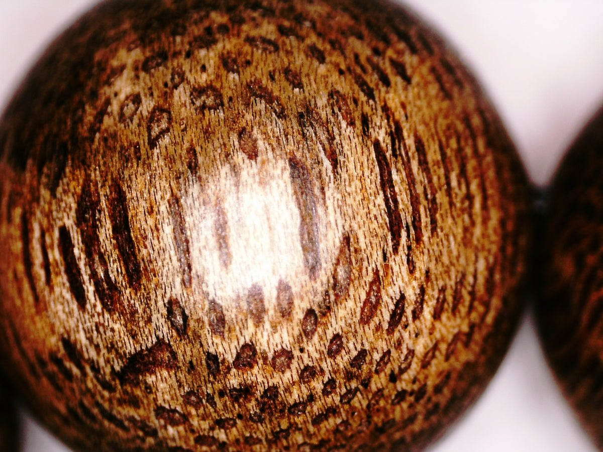 The One- Wild Vietnamese Agarwood Bracelet -